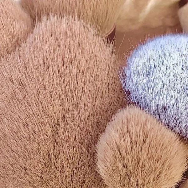 5538-1Ddeeb.jpg 5538 1Ddeeb