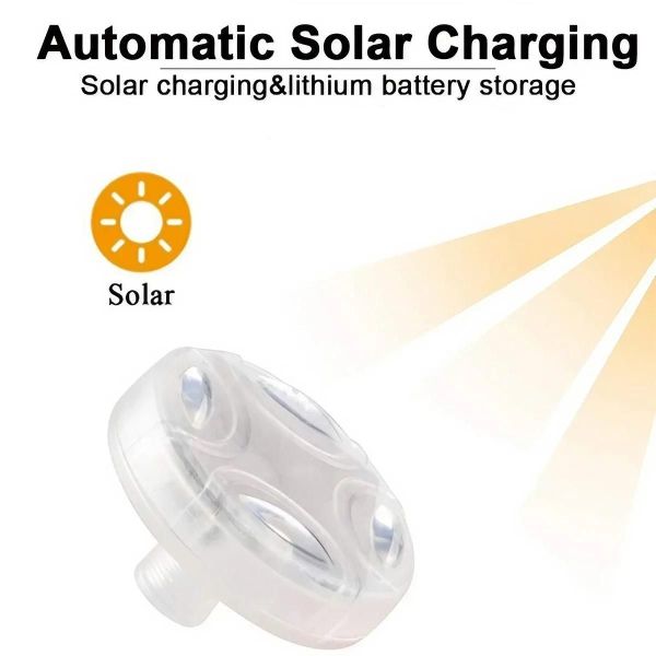 5915-9A05Ae.jpeg 5915 9A05Ae