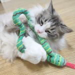 Greedy Snake Catnip Toy: Plush, Interactive Play For Cats &Amp; Small Dogs 5 10296 D0A745